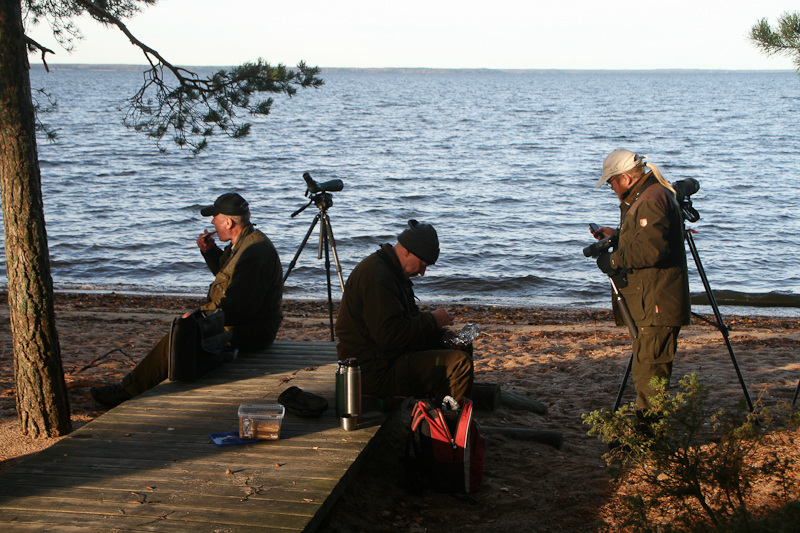 Kuva (c) Jari Krlund