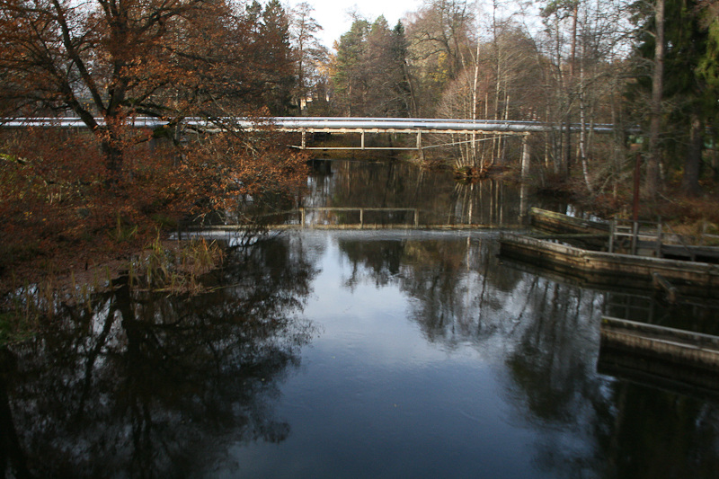 Kuva (c) Jari Krlund