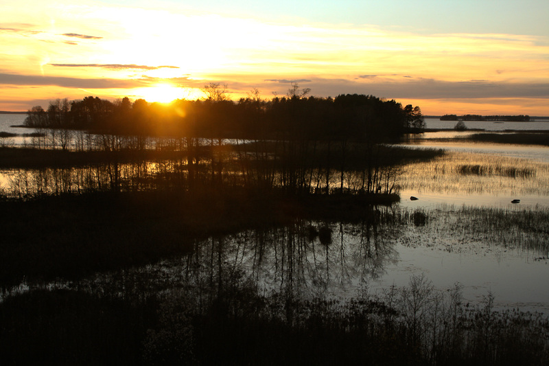 Kuva (c) Jari Krlund
