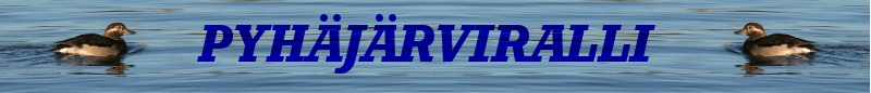 Pyhjrviralli