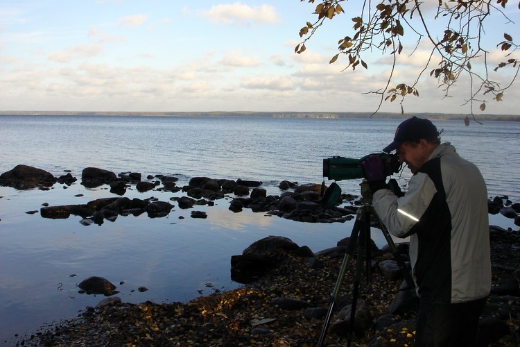 2005