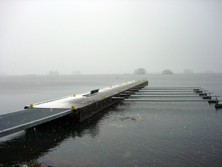 2006