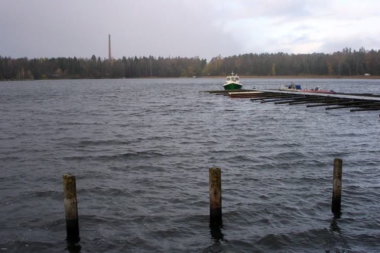 2006