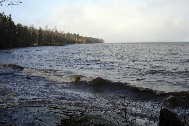 2006