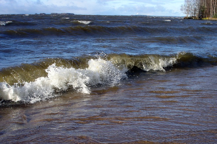 2006