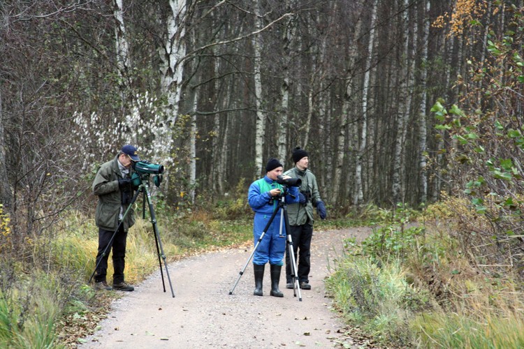 2007