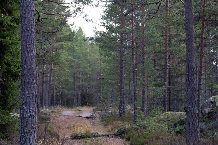 2008