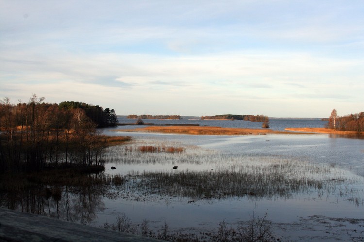 2011