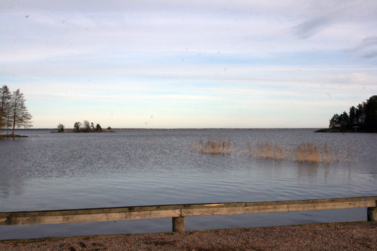 2011