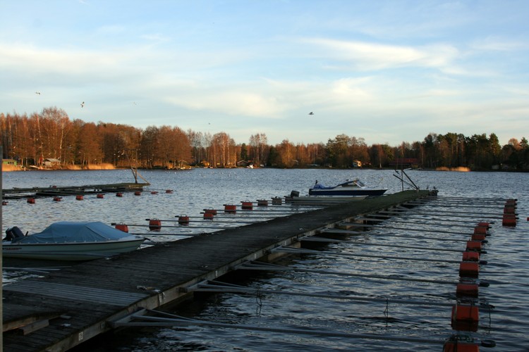 2011