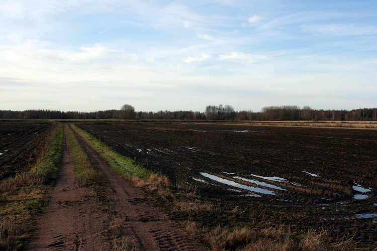 2011