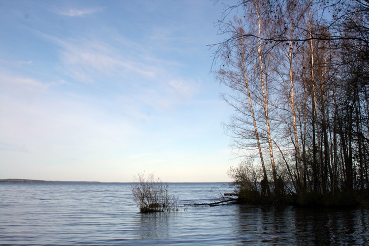 2011