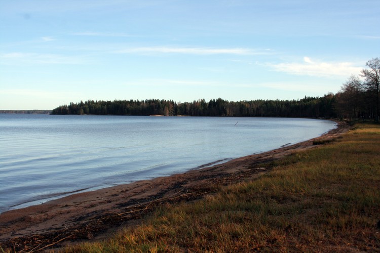 2011